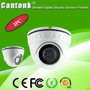 IP66 Waterproof Dome 2MP Sony Sensor Surveillance IP Camera (KIP-200SL20H)